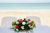 Klicken zum Vergr��ern